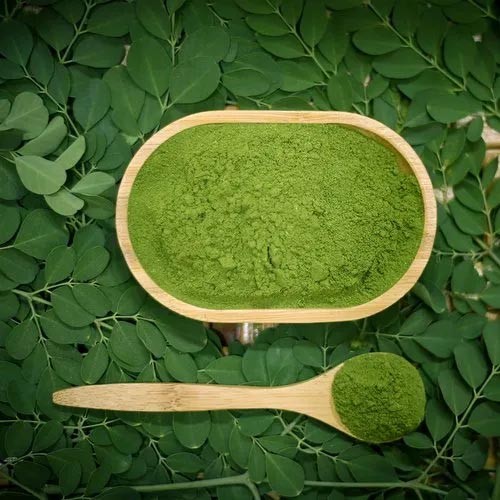 Organic Moringa Powder 1Kg Wholesaler in Madhya Pradesh